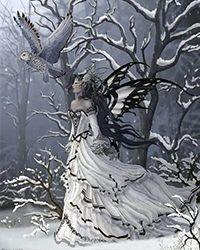 何雪龙简历