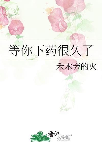 等你下药很久了免费